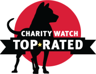 Charity Watch Logo