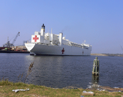 75 Project HOPE medical volunteers provided services on the USNS Comfort, docked at Pascagoula, Mississippi