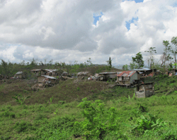 Damage caused by Taiphoon Haiyan in Panay Island, the Philippines