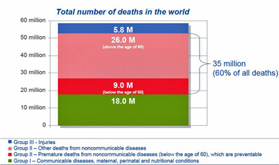 Global Health Report 2004