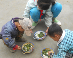 Pediatric Nutrition Program China