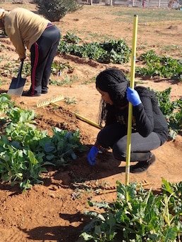 Woman cultivates vegetables in South Africa