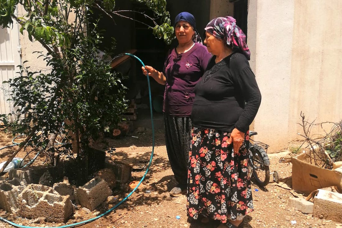 two women watering a tree