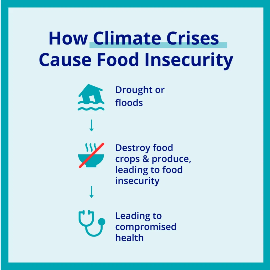 climate change and food insecurity graphic