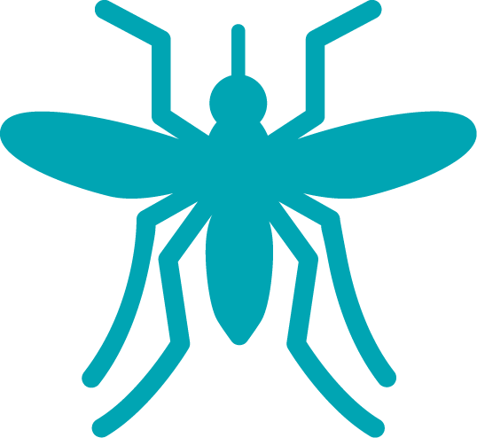mosquito icon
